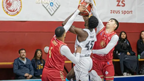 Colo Colo Básquetbol se vuelve a enredar en la Liga Nacional en su visita a Los Leones de Quilpué.
