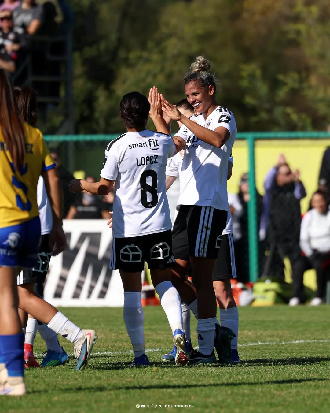 Colo Colo quiere seguir celebrando triunfos.Imagen: Colo Colo Oficial