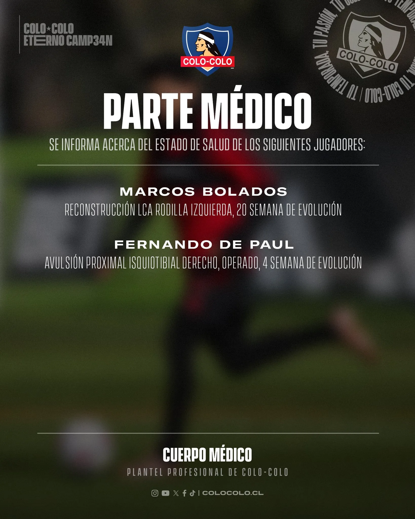 Foto: Colo Colo