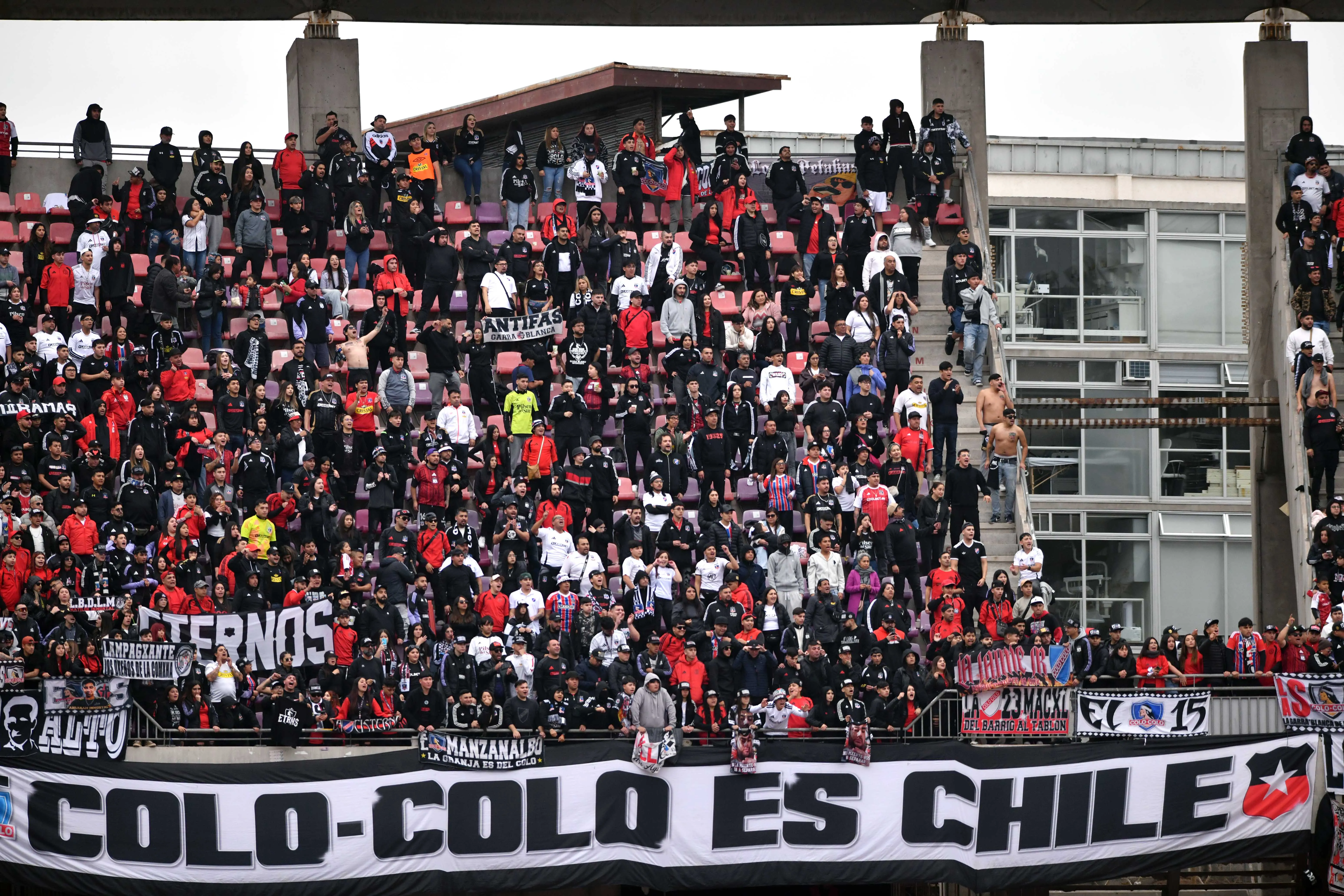 Hinchas de Colo Colo agotan tickets para el Arengazo. Imagen: Alejandro Pizarro Ubilla/Photosport