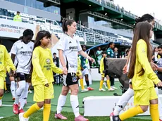 Colo Colo conoce bolillero para la Libertadores femenina: los detalles