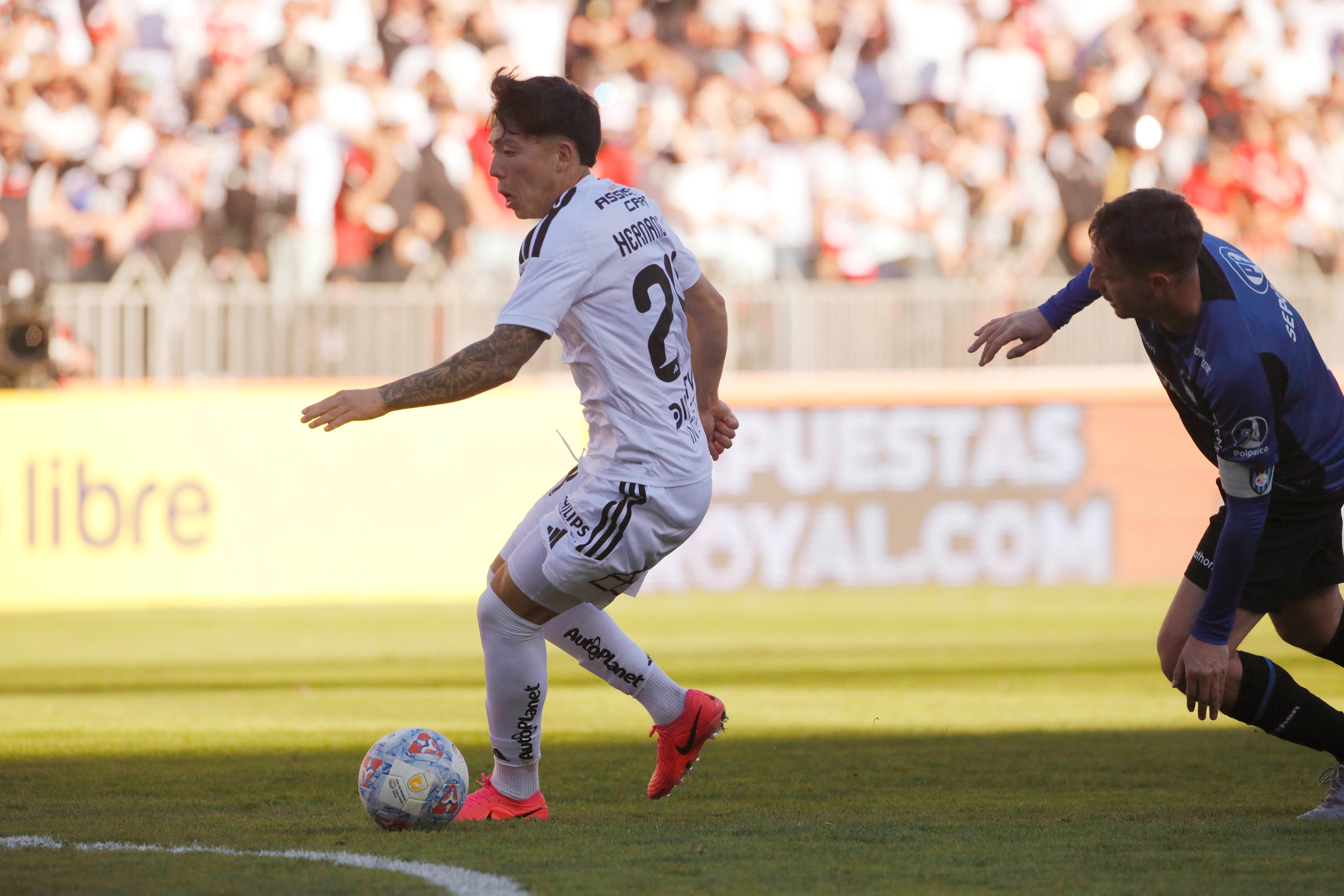 Colo Colo no pudo ante Huachipato. Imagen: Photosport.