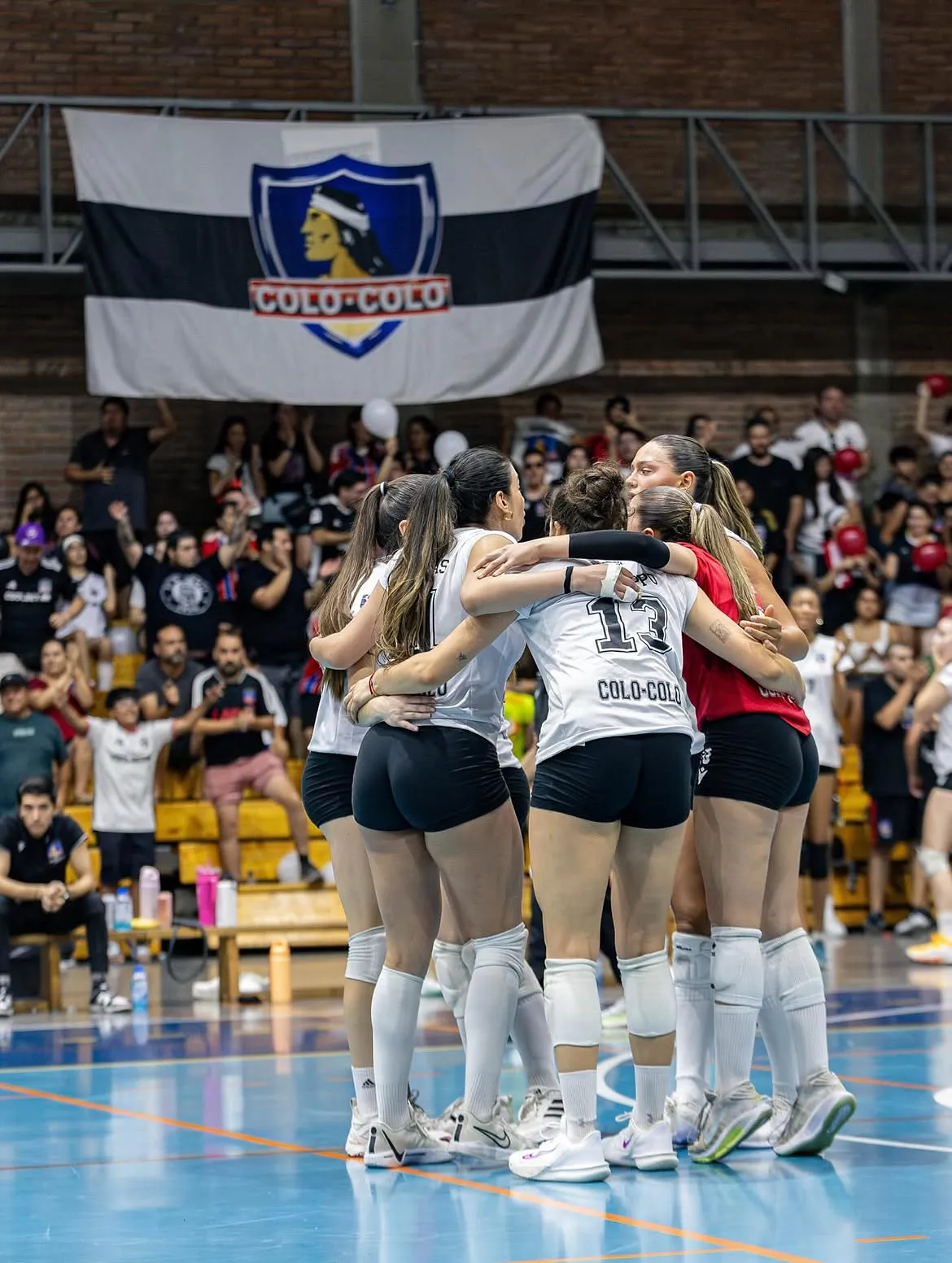 Colo Colo Voley ilusiona en el inicio de la Liga A1. Imagen: CSD Colo Colo