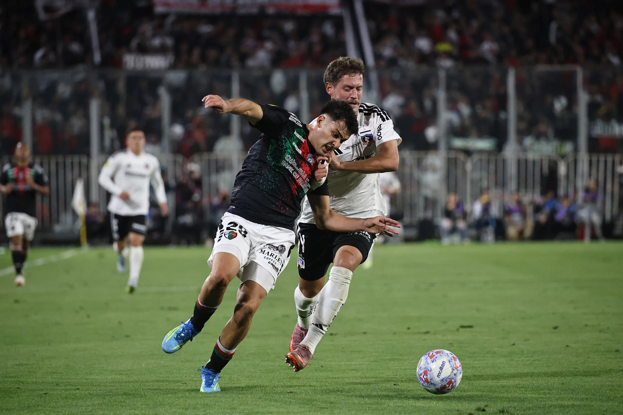 Colo Colo y Palestino se verán las caras por la fecha 25. Imagen: Diego Martin/Photosport