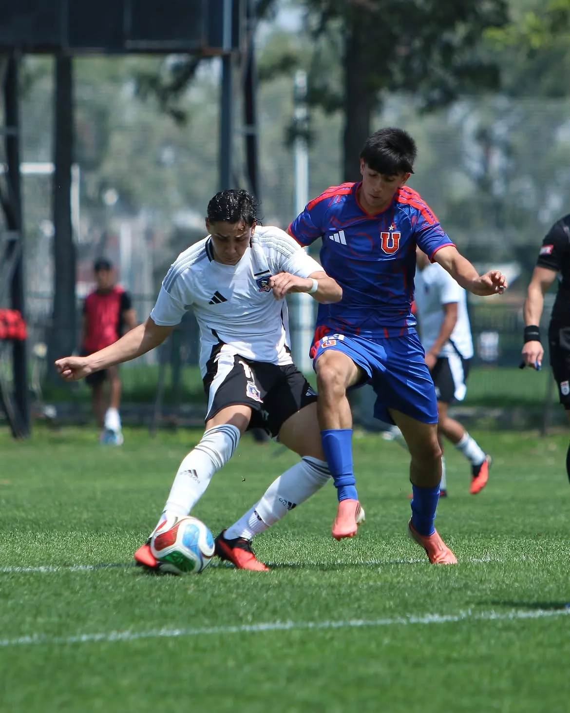 Colo Colo goleó a la U en el Monumental.Imagen: Colo Colo Oficial