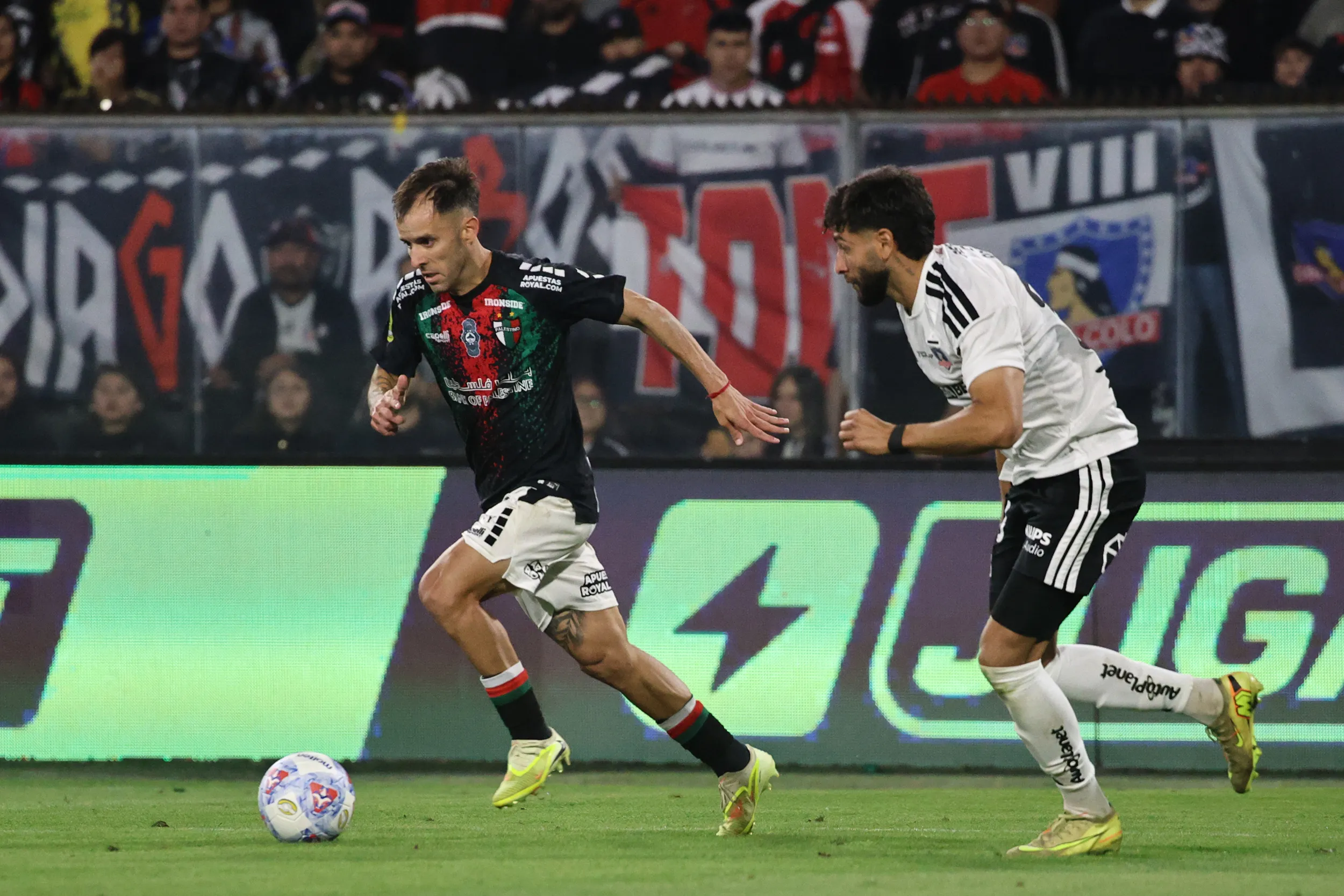 DT de Palestino llena de elogios a Colo Colo en la previa del partido.