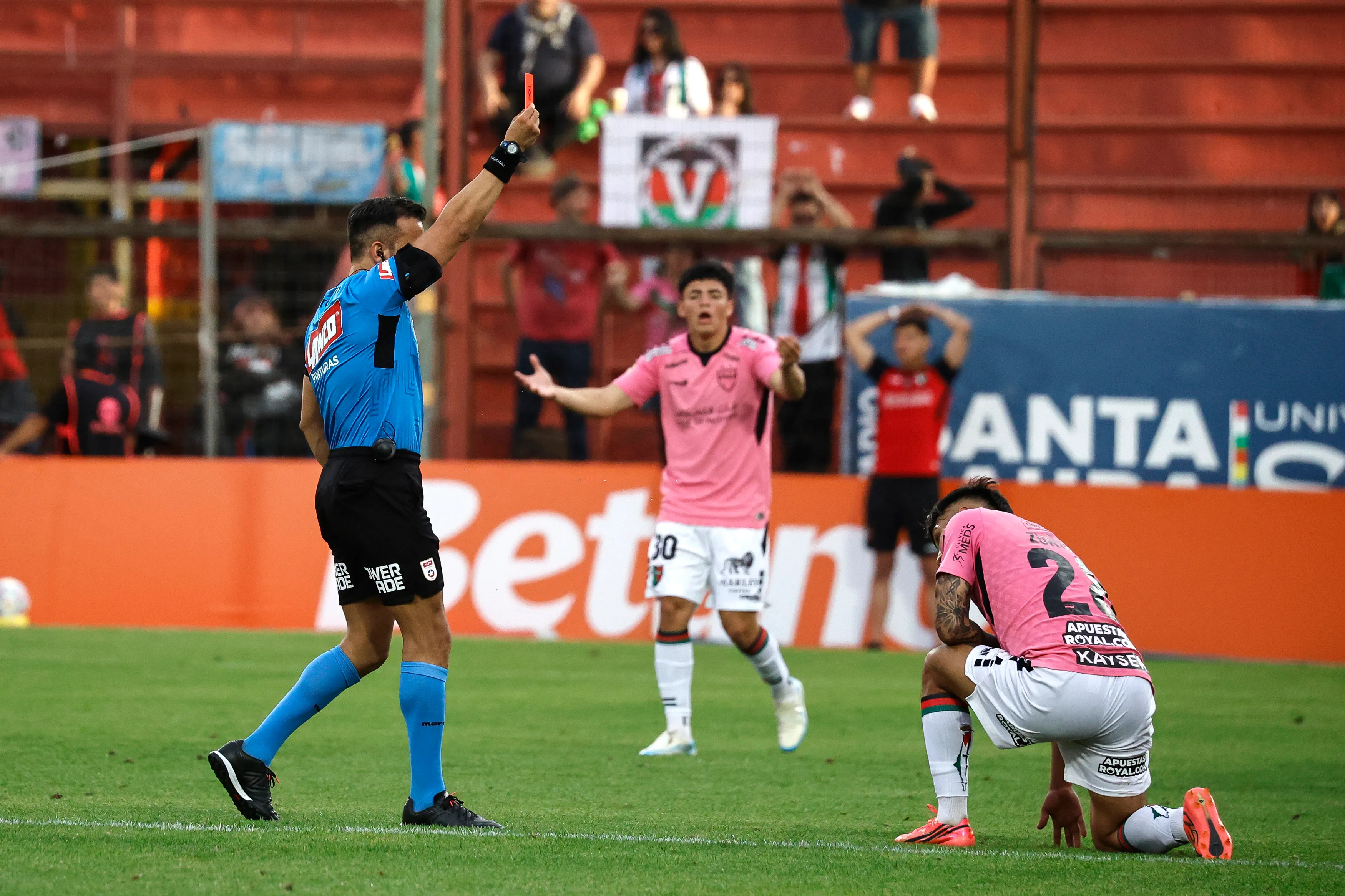 El duro castigo que recibió jugador de Palestino tras lesionar a Leandro Hernández.