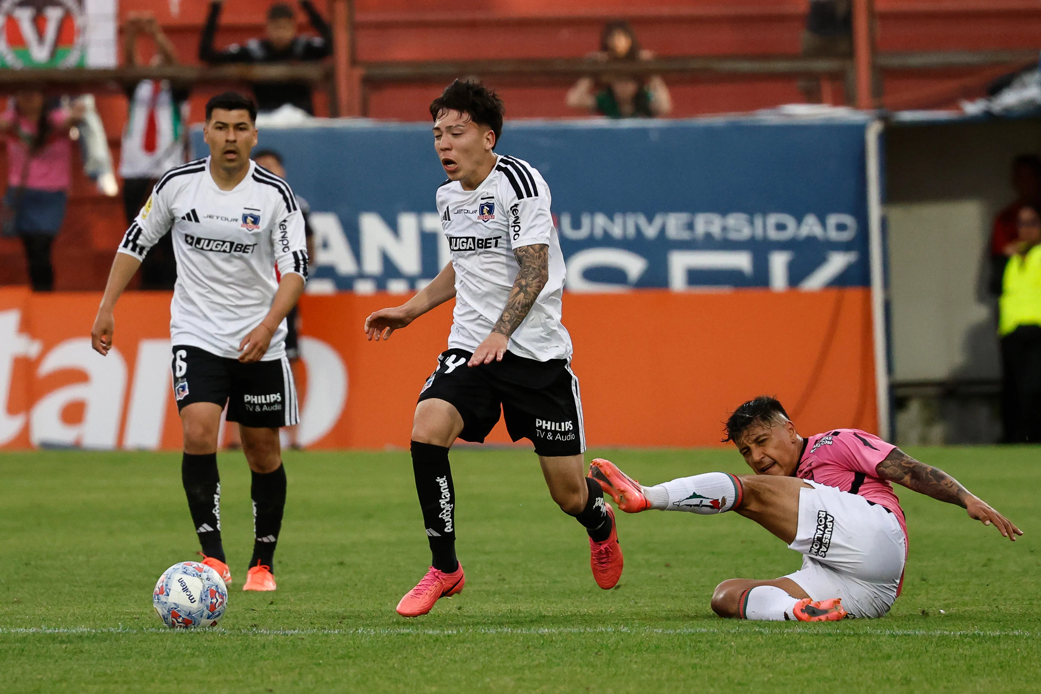 Leandro Hernández será baja en Colo Colo. Imagen: Diego Martin/Photosport