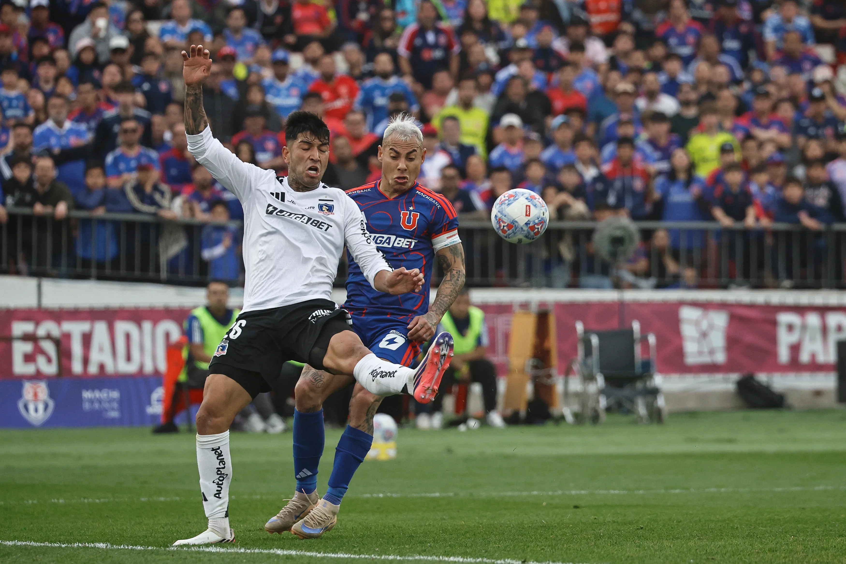 Diego Ulloa renovó en Colo Colo. Diego Martin/Photosport